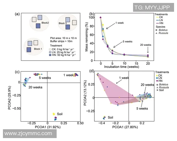 成都滑板队进攻战术解析与滑板热点动态探讨 成都滑板队进攻战术解析与滑板热点动态探讨