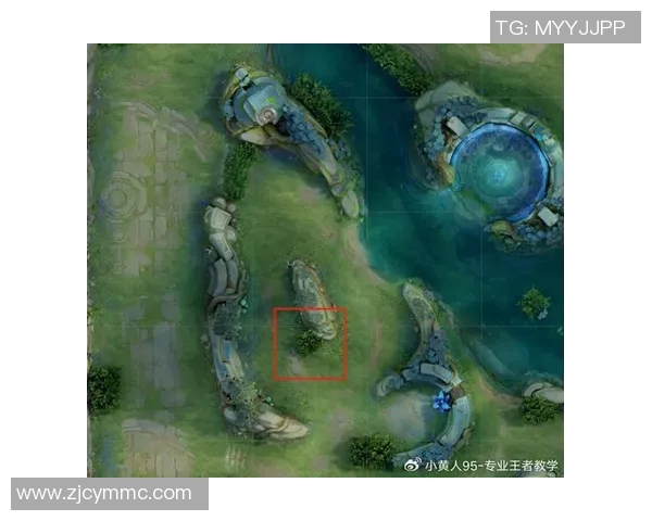 王者荣耀评论：探讨FPX在区域防守中的优劣表现与战术调整