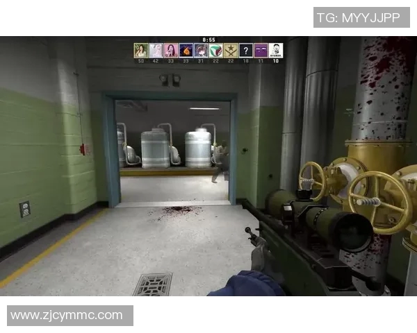 张芳独家揭秘：深入探讨CSGO游戏技巧与心得分享