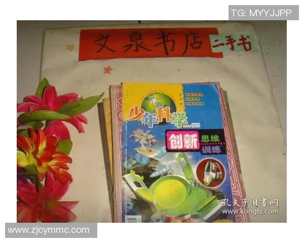 提升训练效果的创新方法与科学策略探讨及实践应用分析