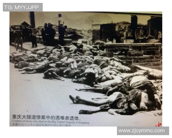 南京排球队转型纪实:从传统到现代的奋斗与蜕变之路 南京排球队转型纪实:从传统到现代的奋斗与蜕变之路
