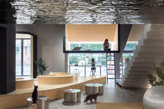 南宫NG28宠物友爱修建设想大揭秘：给TA一个暖和的家！(图12)