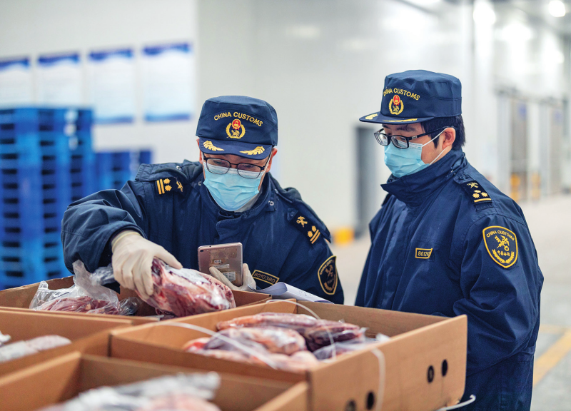 南宫28瞭望·治国理政纪事｜把西部陆海新通道建立好运营好(图4)